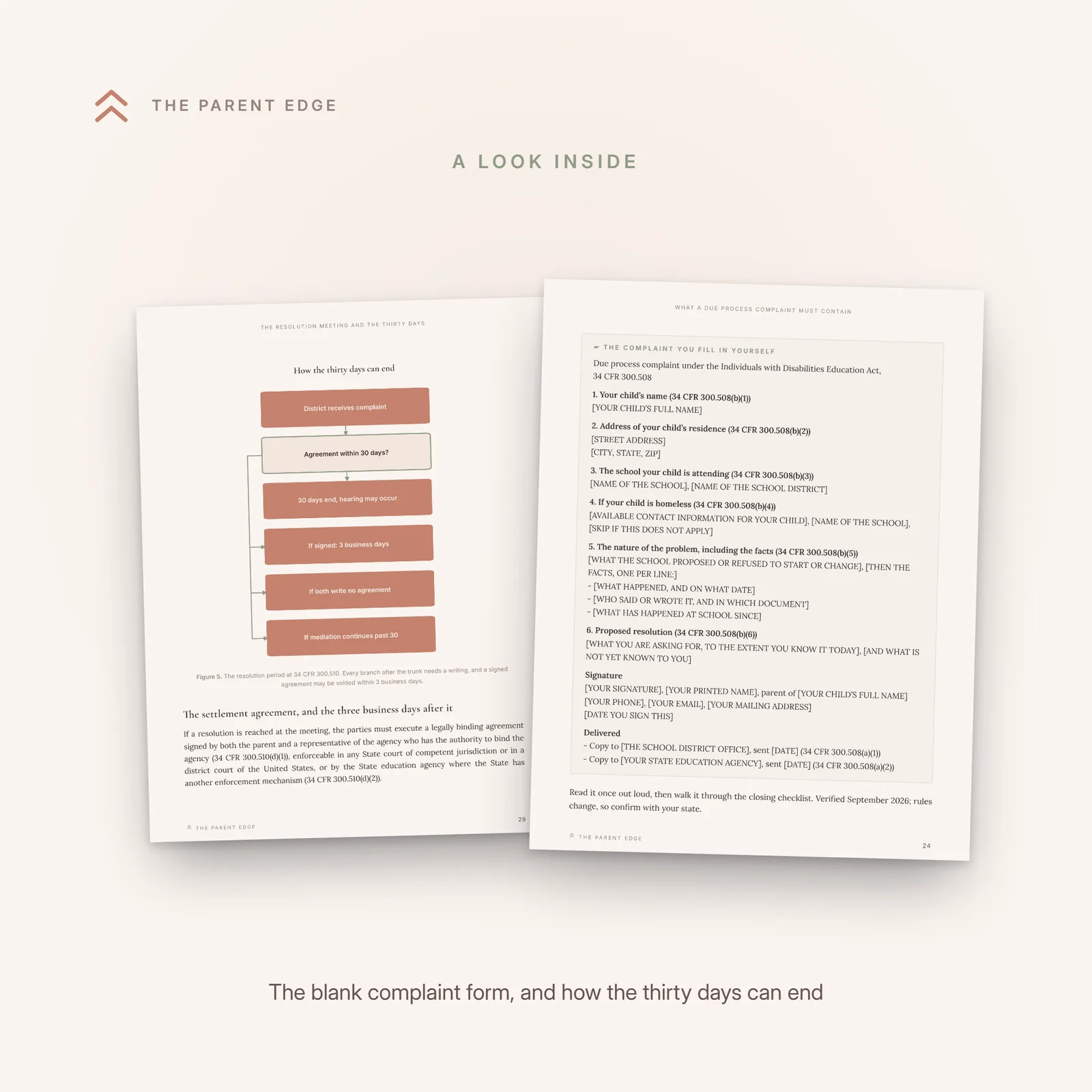 Two angled interior pages: the blank one-page fill-in complaint form built on the six required contents, and the decision flow of how the thirty-day resolution period can end.