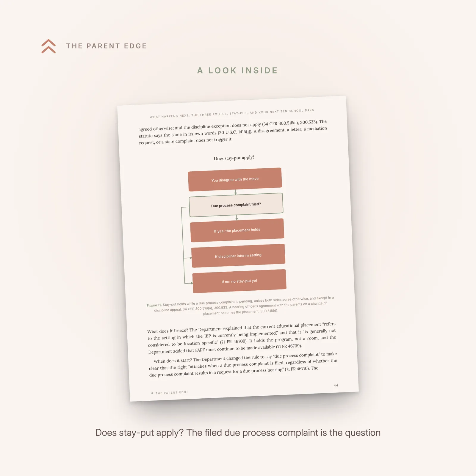 An interior page showing the flow figure Does stay-put apply, with the filed due process complaint as the deciding question.
