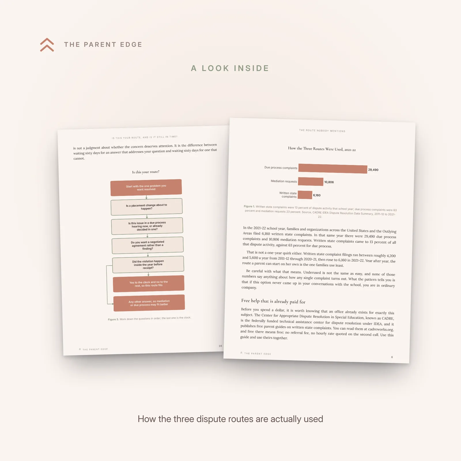 A page from chapter 1 showing a bar chart of how the three IDEA dispute routes were used in the 2021-22 school year, with due process complaints far outnumbering written state complaints.